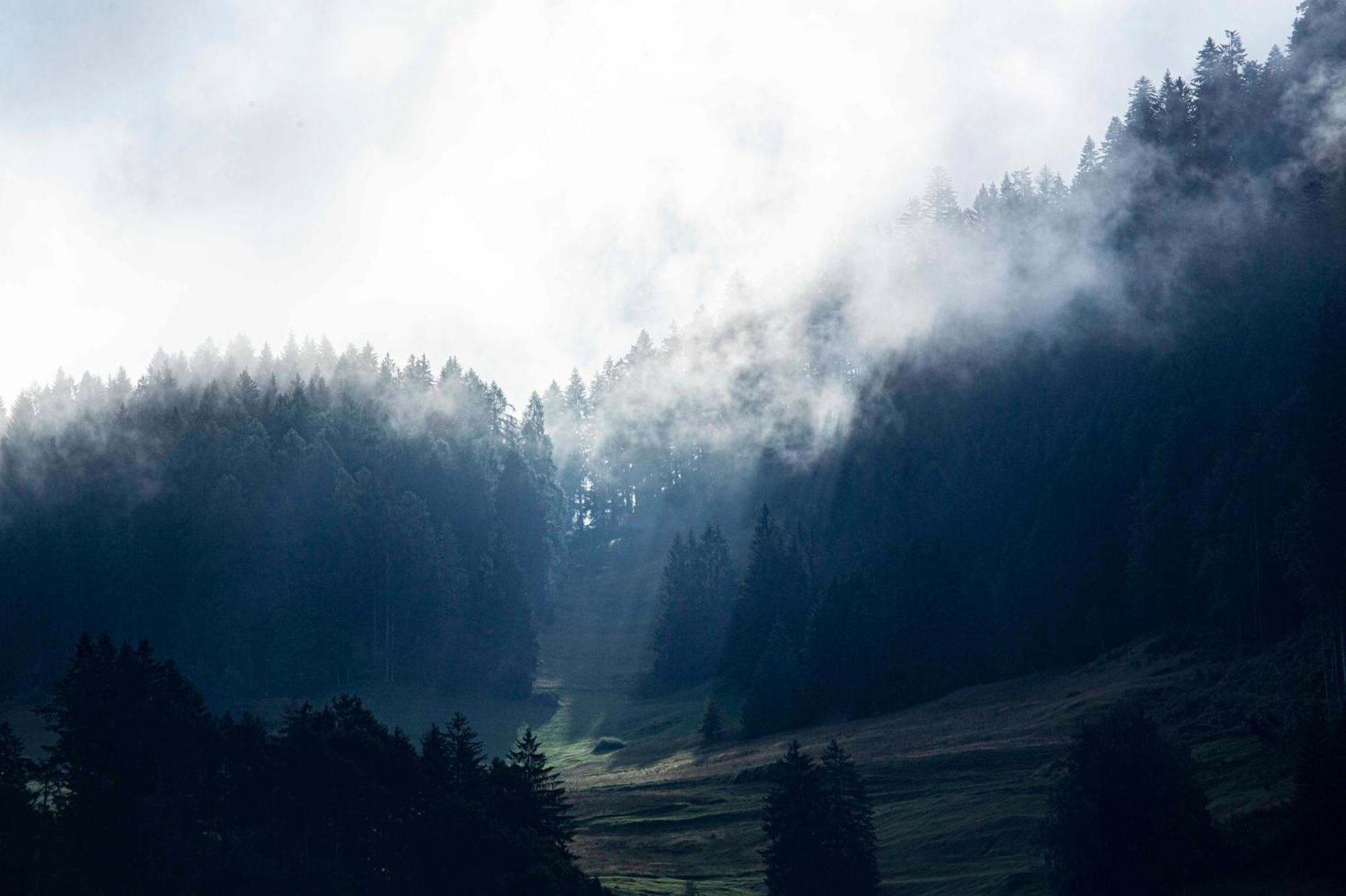 Gasthaus Roessli Versam Bagian luar foto